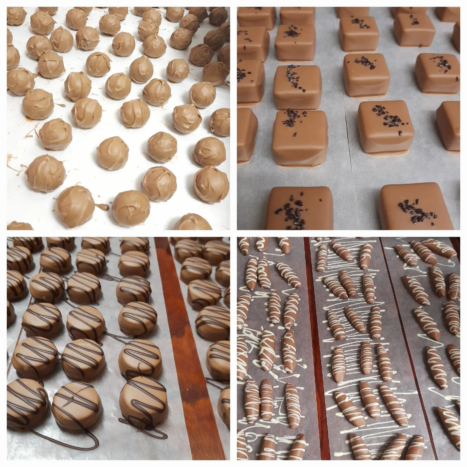 Praline aus der Pralinenstube des Kolmsteiner Hofs 16