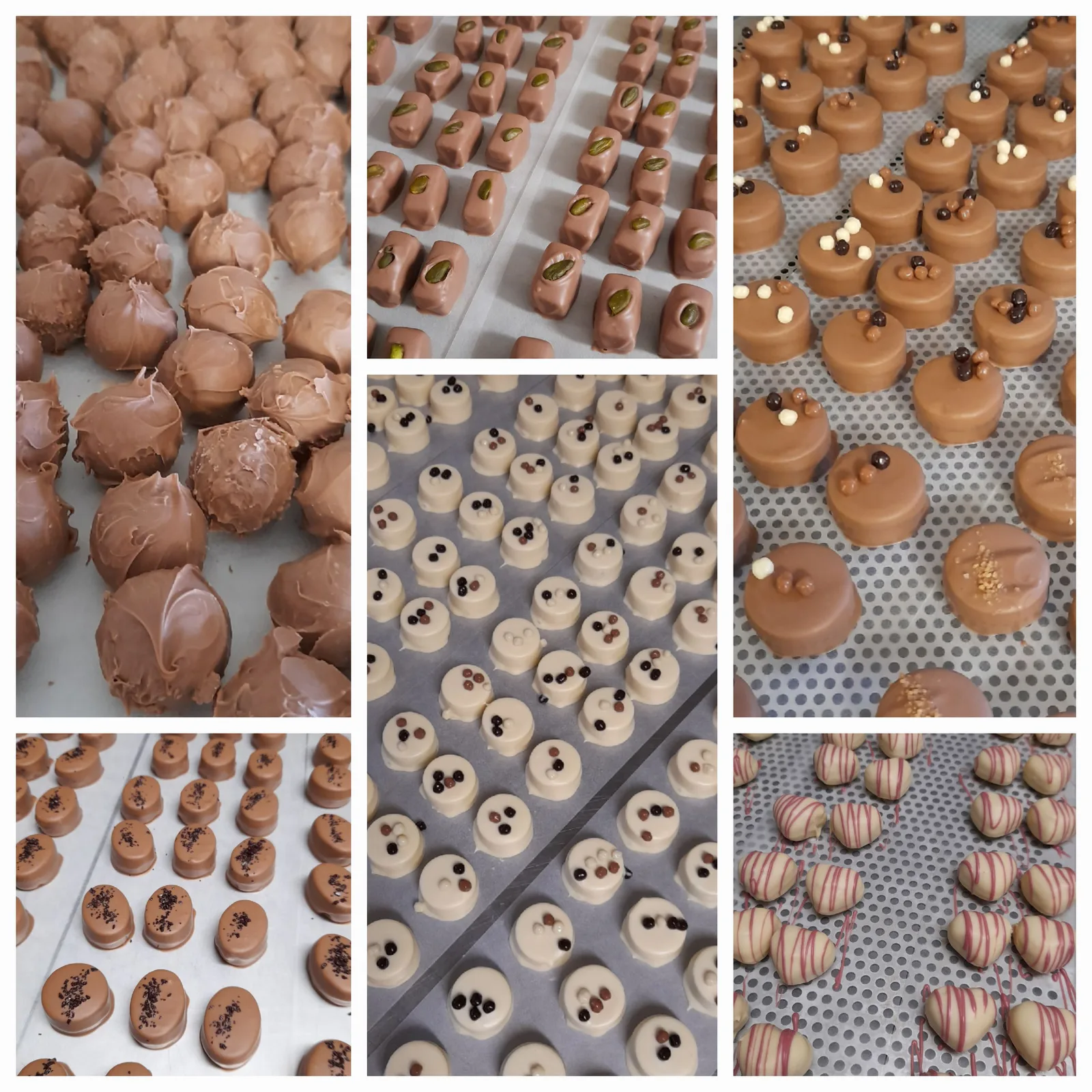 Praline aus der Pralinenstube des Kolmsteiner Hofs 14