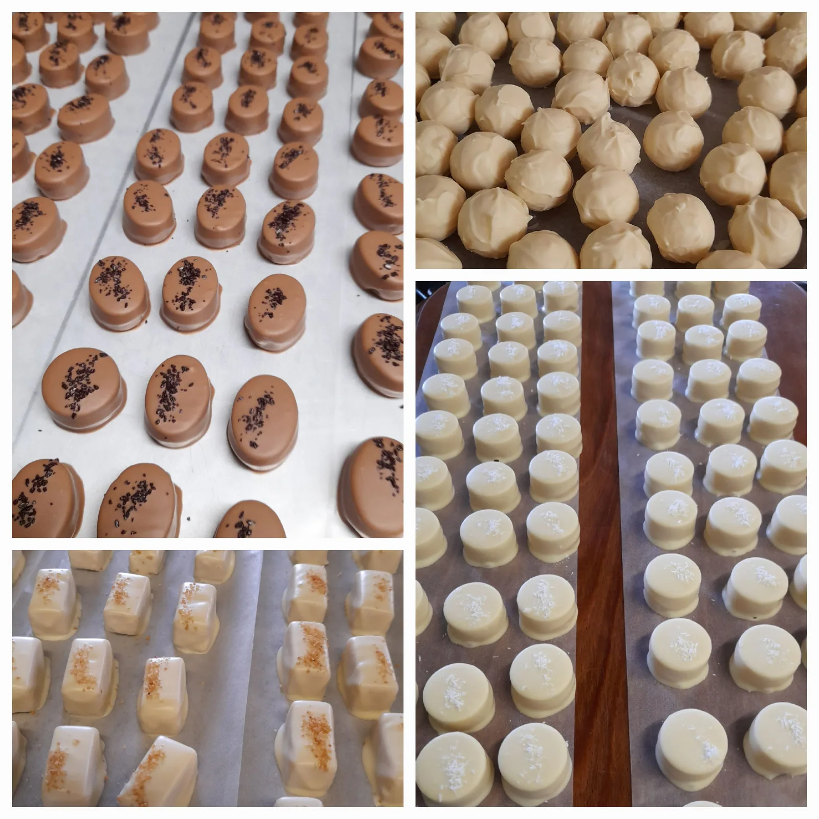Praline aus der Pralinenstube des Kolmsteiner Hofs 13