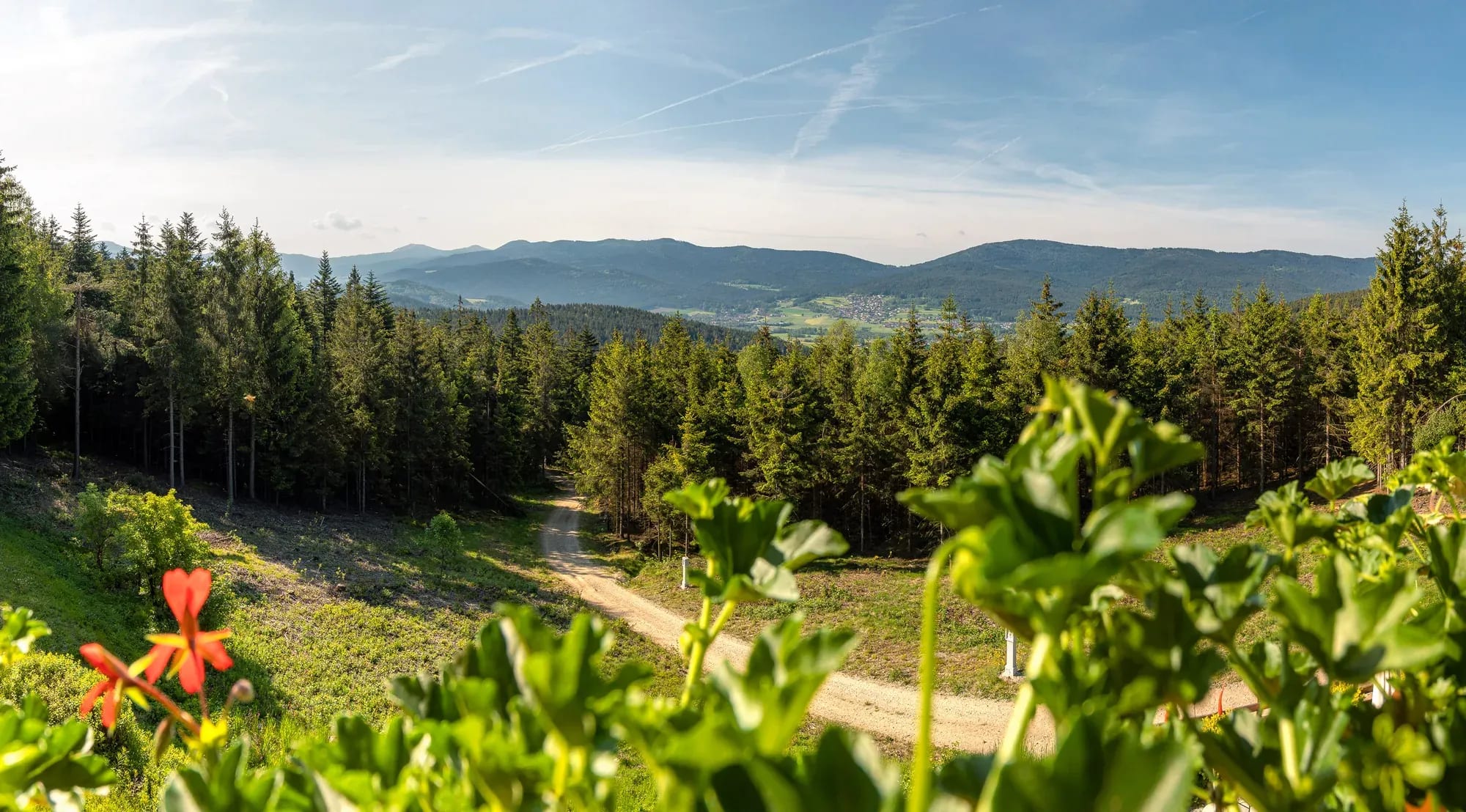 Panoramablick über den Bayerischen Wald vom Kolmsteiner Hof