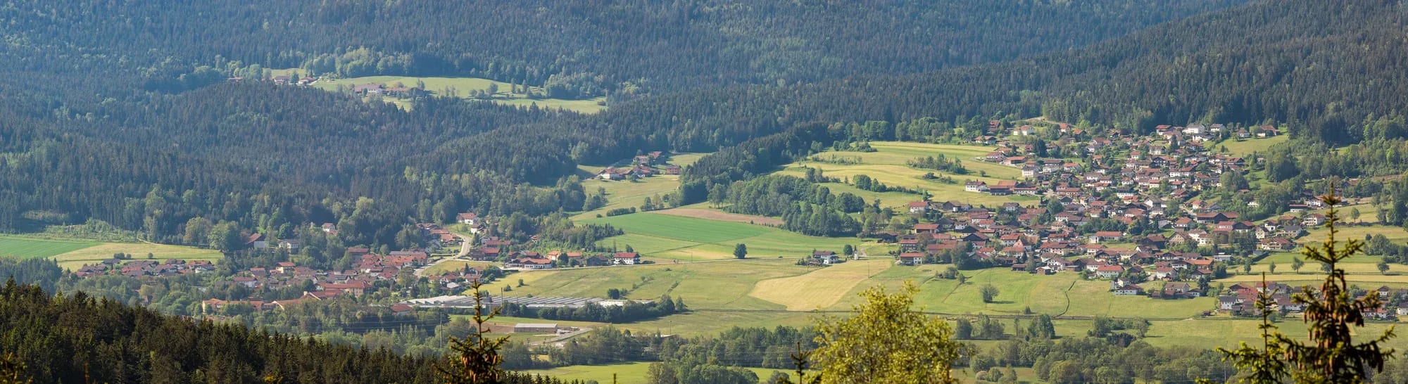 Panorama über den Hohenbogenwinkel