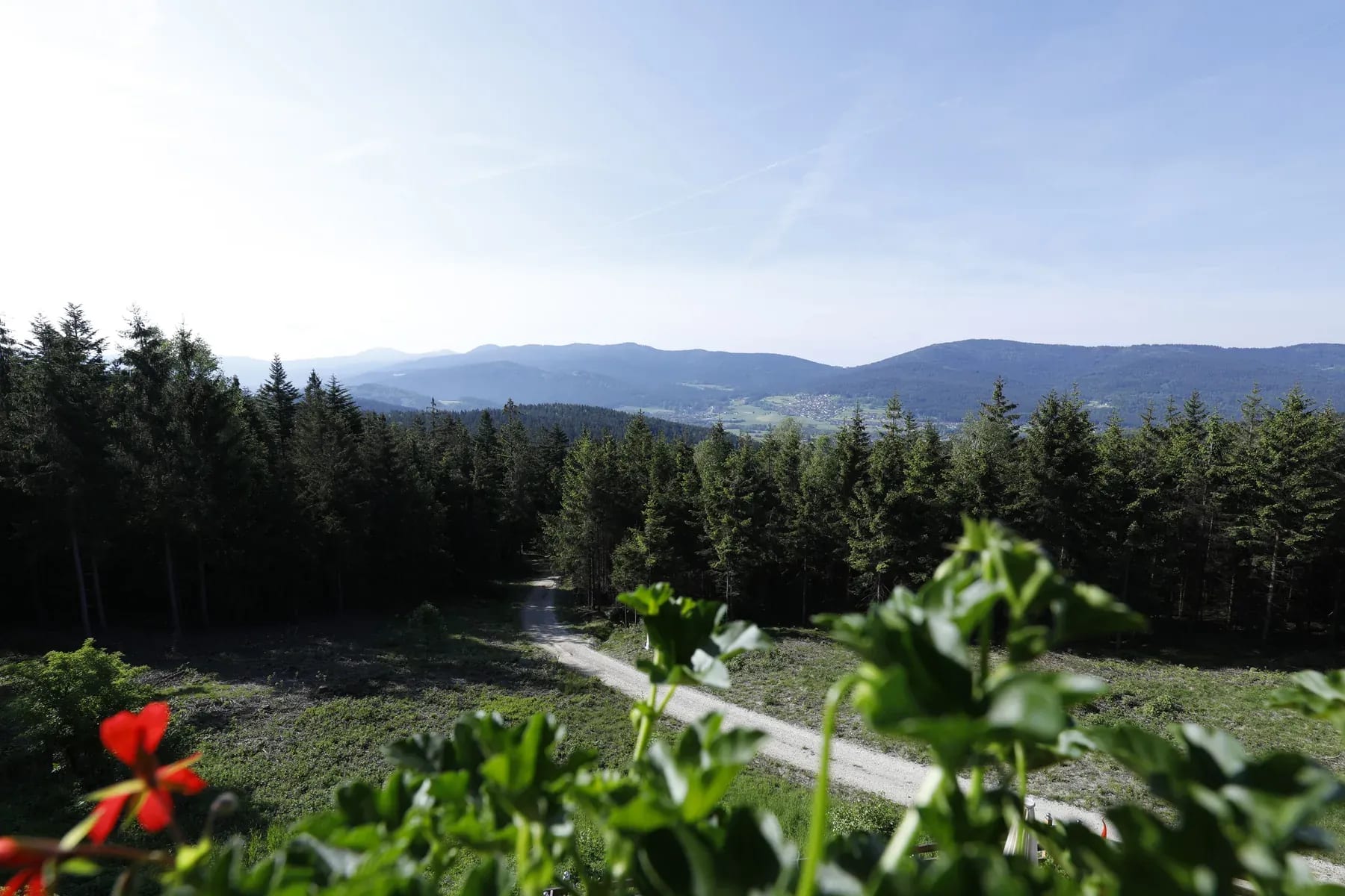 Blick vom Kolmsteiner Hof über die Wälder und Berge des Bayerischen Waldes